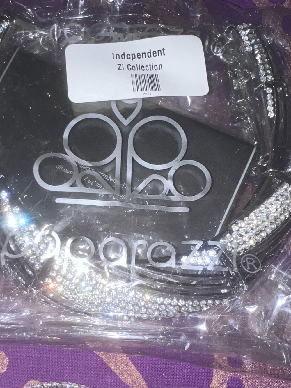 Paparazzi ZI Collection Independent silver Necklace and Earrings set
